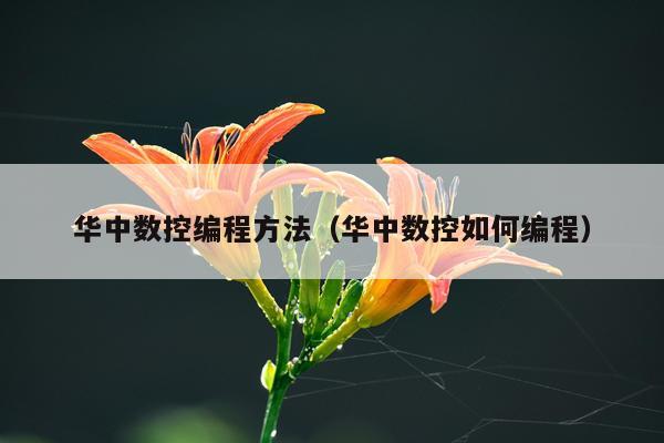 华中数控编程方法(华中数控如何编程)