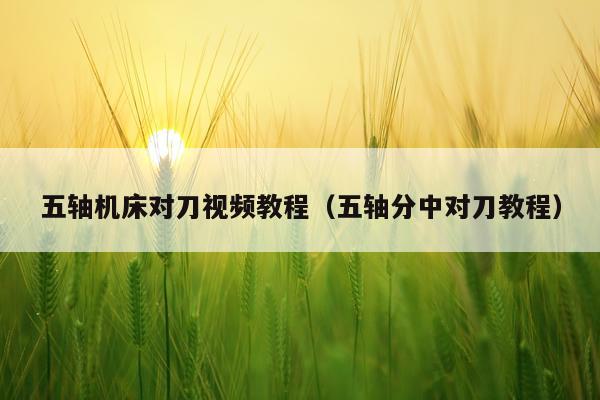 五轴机床对刀视频教程（五轴分中对刀教程）