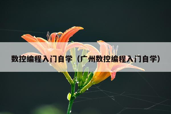数控编程入门自学(广州数控编程入门自学)