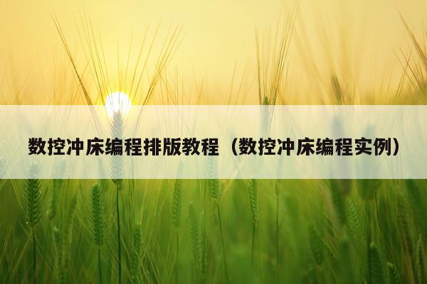 数控冲床编程排版教程(数控冲床编程实例)