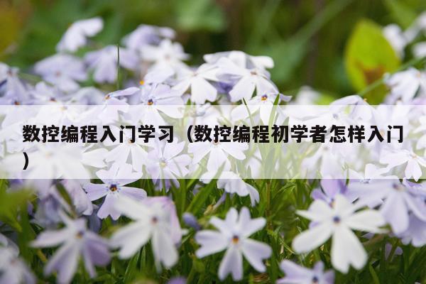 数控编程入门学习(数控编程初学者怎样入门)
