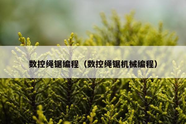 数控绳锯编程(数控绳锯机械编程)