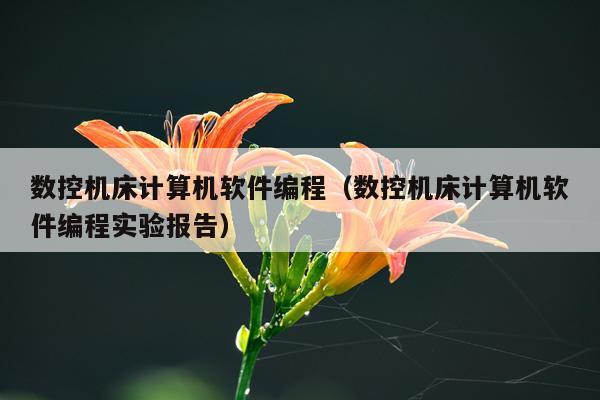 数控机床计算机软件编程（数控机床计算机软件编程实验报告）