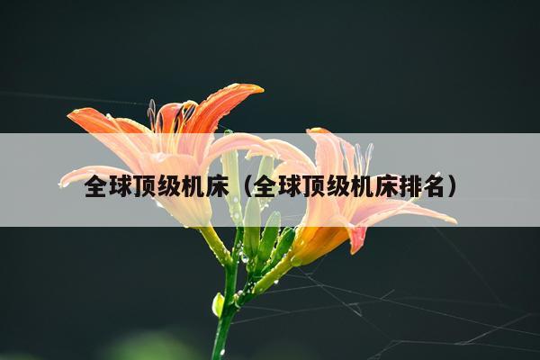 全球顶级机床（全球顶级机床排名）