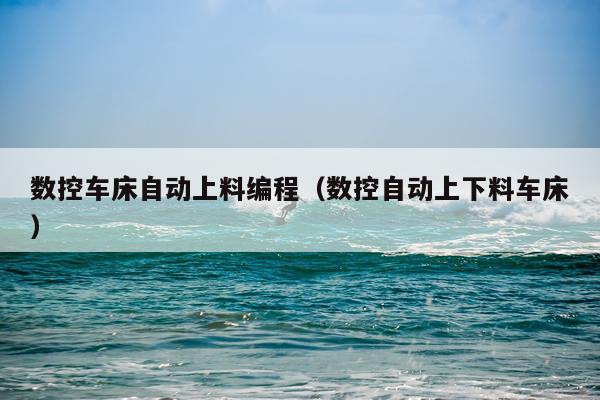数控车床自动上料编程（数控自动上下料车床）