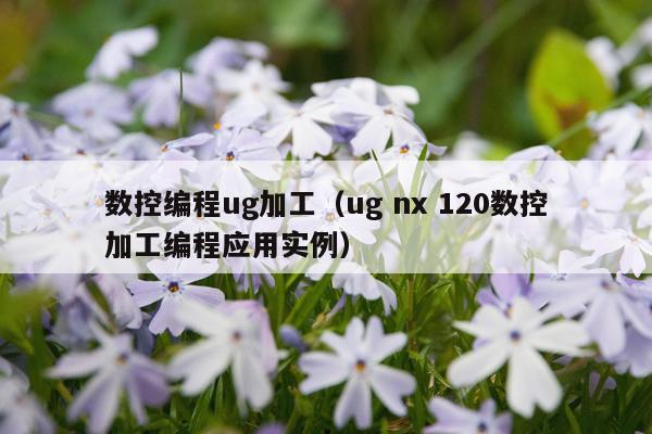 数控编程ug加工（ug nx 120数控加工编程应用实例）