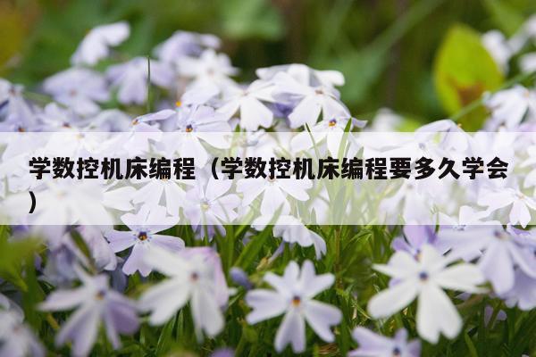 学数控机床编程（学数控机床编程要多久学会）