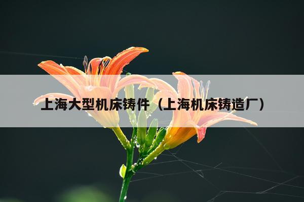 上海大型机床铸件（上海机床铸造厂）