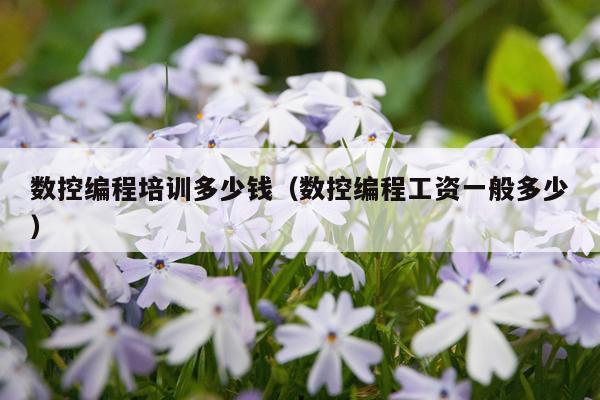 数控编程培训多少钱（数控编程工资一般多少）