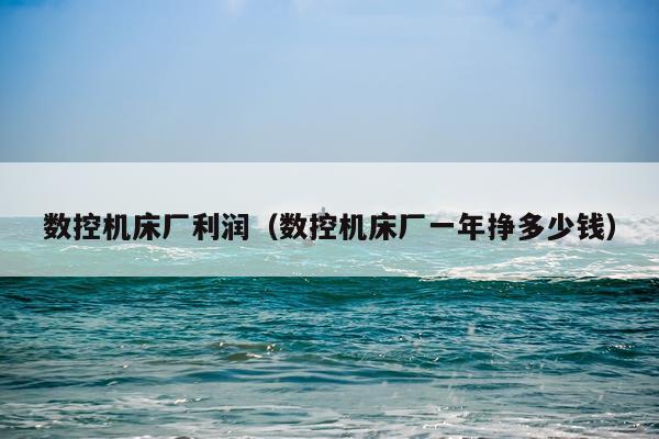 数控机床厂利润（数控机床厂一年挣多少钱）