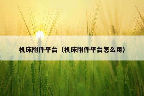 机床附件平台（机床附件平台怎么用）