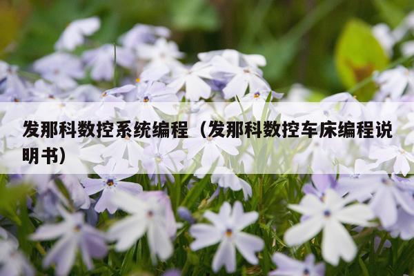 发那科数控系统编程（发那科数控车床编程说明书）