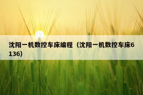 沈阳一机数控车床编程（沈阳一机数控车床6136）