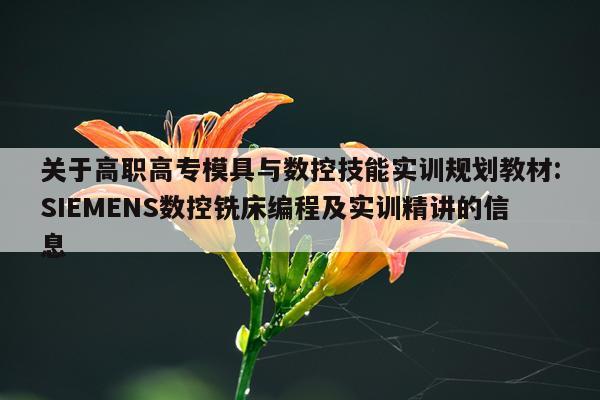 关于高职高专模具与数控技能实训规划教材:SIEMENS数控铣床编程及实训精讲的信息