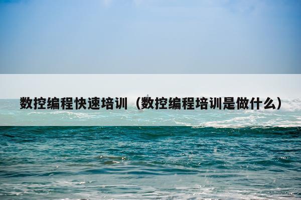 数控编程快速培训（数控编程培训是做什么）