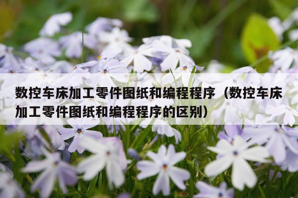 数控车床加工零件图纸和编程程序（数控车床加工零件图纸和编程程序的区别）