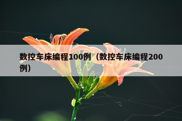 数控车床编程100例（数控车床编程200例）