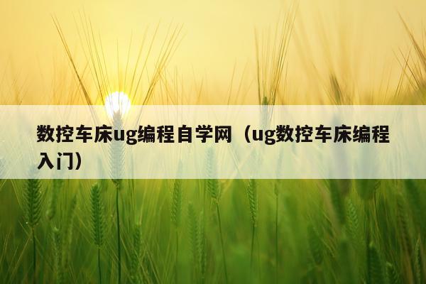 数控车床ug编程自学网（ug数控车床编程入门）