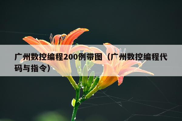 广州数控编程200例带图（广州数控编程代码与指令）