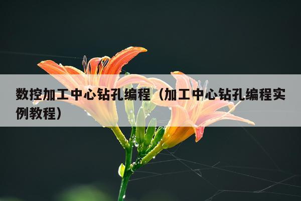 数控加工中心钻孔编程（加工中心钻孔编程实例教程）