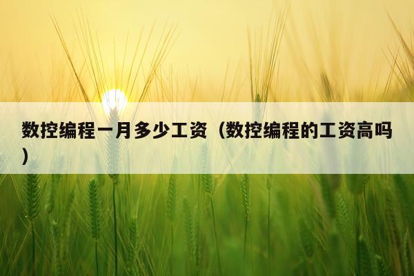 数控编程一月多少工资（数控编程的工资高吗）