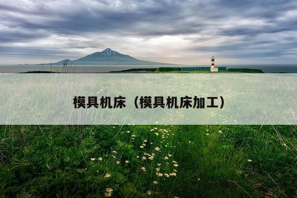 模具机床(模具机床加工)