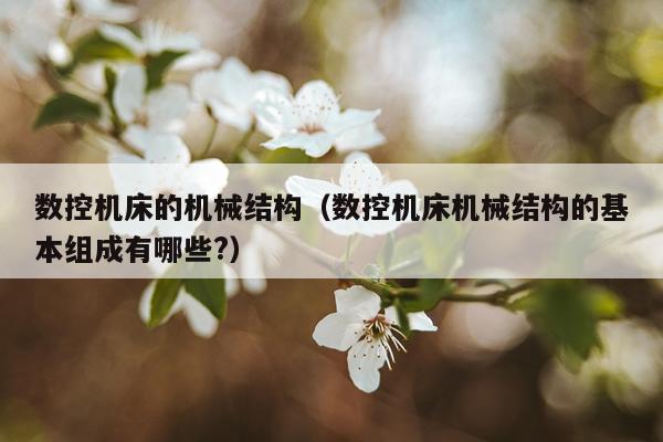 数控机床的机械结构（数控机床机械结构的基本组成有哪些?）