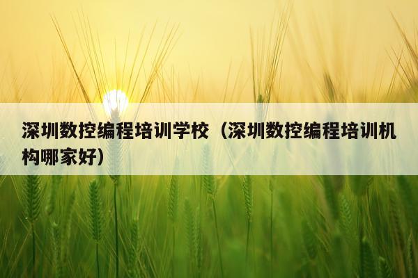 深圳数控编程培训学校（深圳数控编程培训机构哪家好）