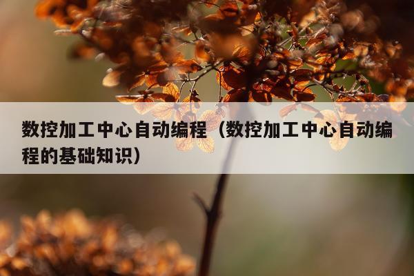 数控加工中心自动编程（数控加工中心自动编程的基础知识）