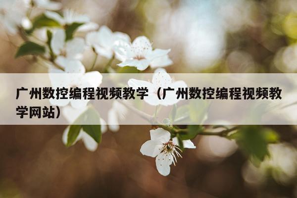 广州数控编程视频教学(广州数控编程视频教学网站)