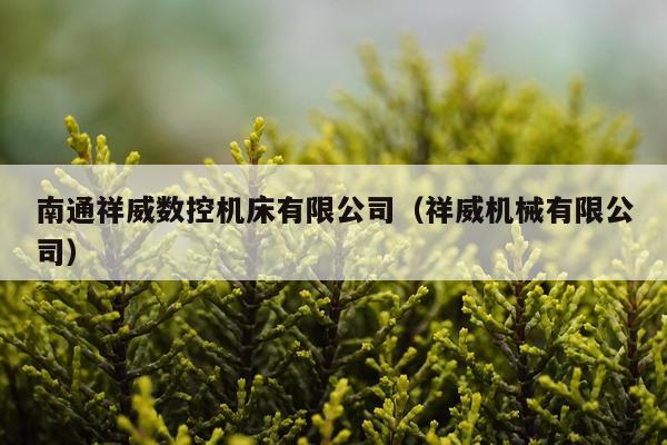 南通祥威数控机床有限公司（祥威机械有限公司）
