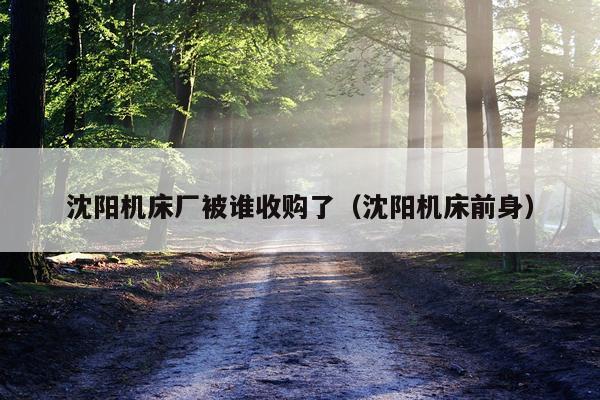 沈阳机床厂被谁收购了（沈阳机床前身）