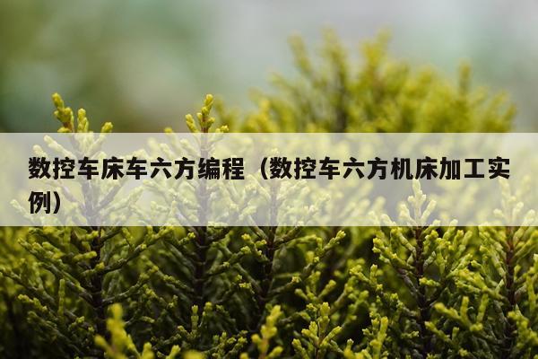 数控车床车六方编程（数控车六方机床加工实例）