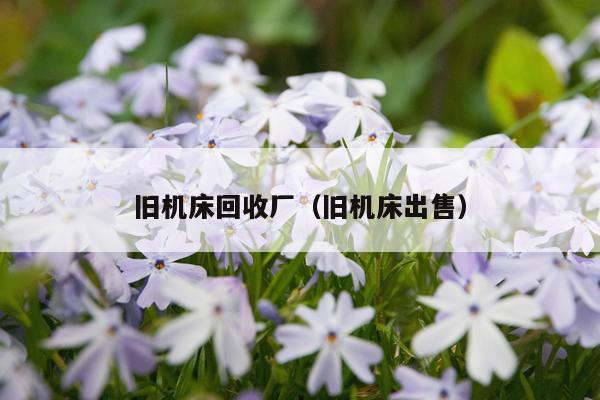 旧机床回收厂（旧机床出售）