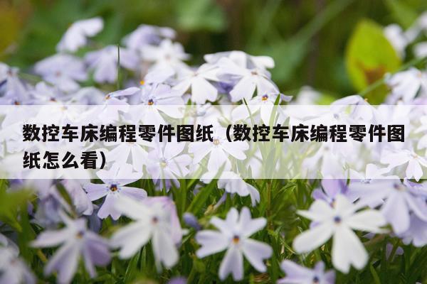 数控车床编程零件图纸（数控车床编程零件图纸怎么看）