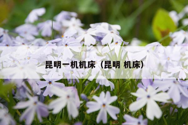 昆明一机机床(昆明 机床)