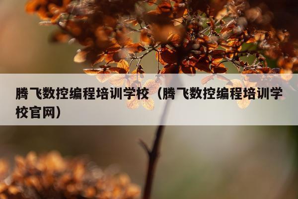 腾飞数控编程培训学校（腾飞数控编程培训学校官网）