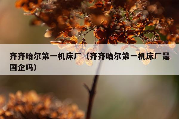 齐齐哈尔第一机床厂(齐齐哈尔第一机床厂是国企吗)