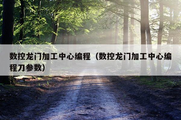 数控龙门加工中心编程(数控龙门加工中心编程刀参数)