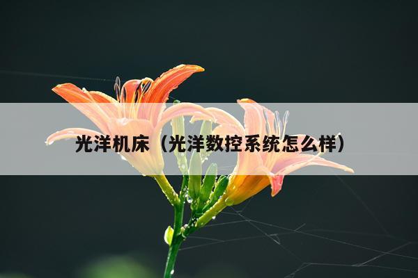 光洋机床(光洋数控系统怎么样)
