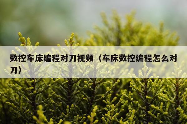 数控车床编程对刀视频(车床数控编程怎么对刀)