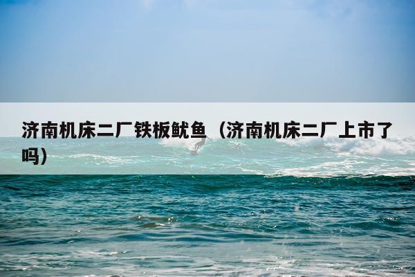 济南机床二厂铁板鱿鱼（济南机床二厂上市了吗）