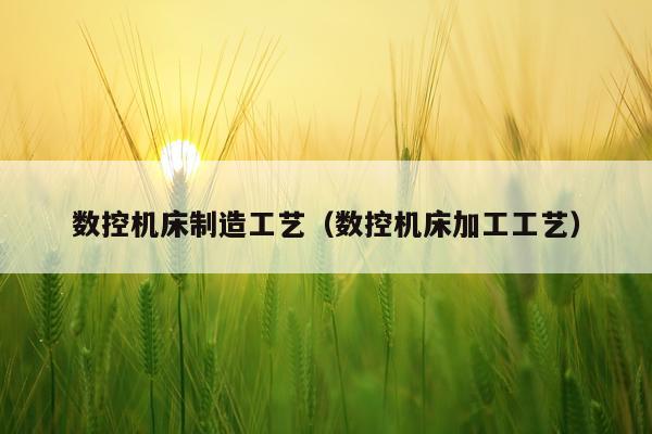 数控机床制造工艺（数控机床加工工艺）