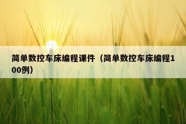 简单数控车床编程课件(简单数控车床编程100例)