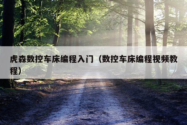 虎森数控车床编程入门(数控车床编程视频教程)
