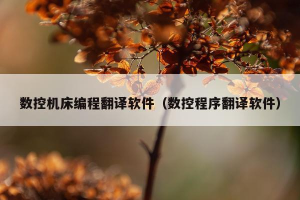 数控机床编程翻译软件（数控程序翻译软件）