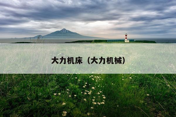 大力机床（大力机械）