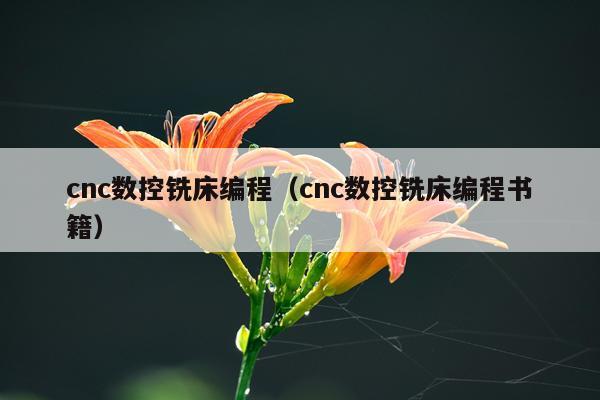 cnc数控铣床编程（cnc数控铣床编程书籍）