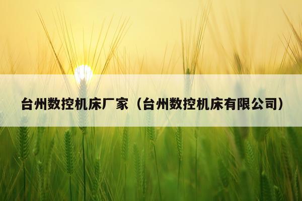 台州数控机床厂家（台州数控机床有限公司）