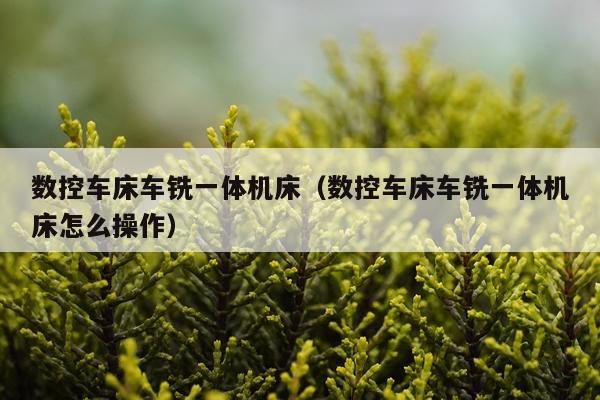 数控车床车铣一体机床(数控车床车铣一体机床怎么操作)